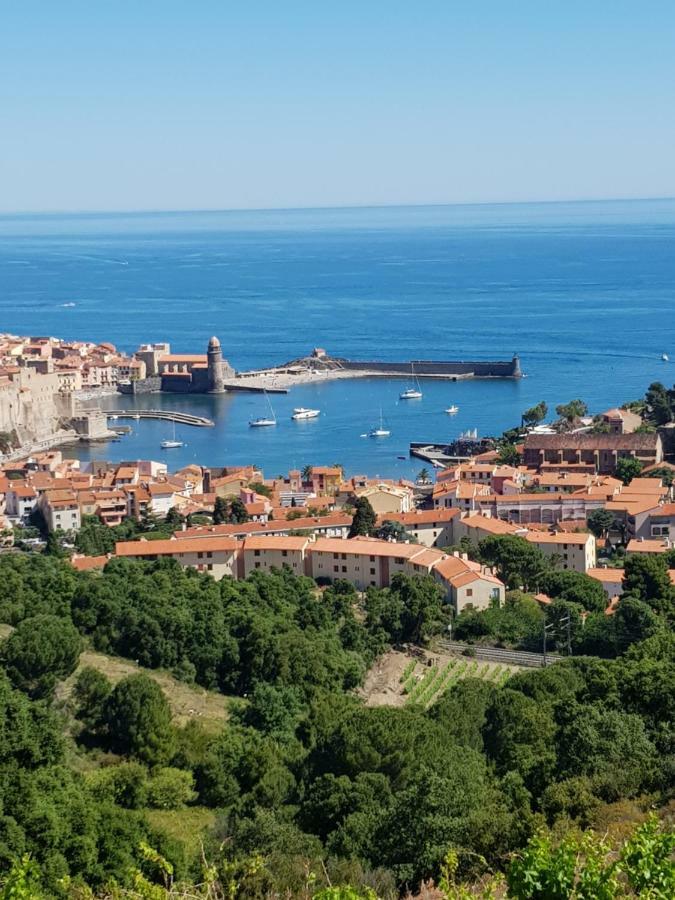 Appartement Charmant A Collioure Ngoại thất bức ảnh