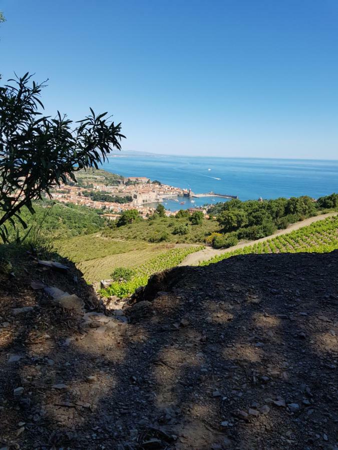 Appartement Charmant A Collioure Ngoại thất bức ảnh