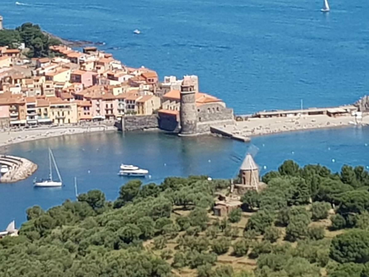 Appartement Charmant A Collioure Ngoại thất bức ảnh